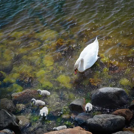 Majamaja Off-grid Retreat منزل ريفي